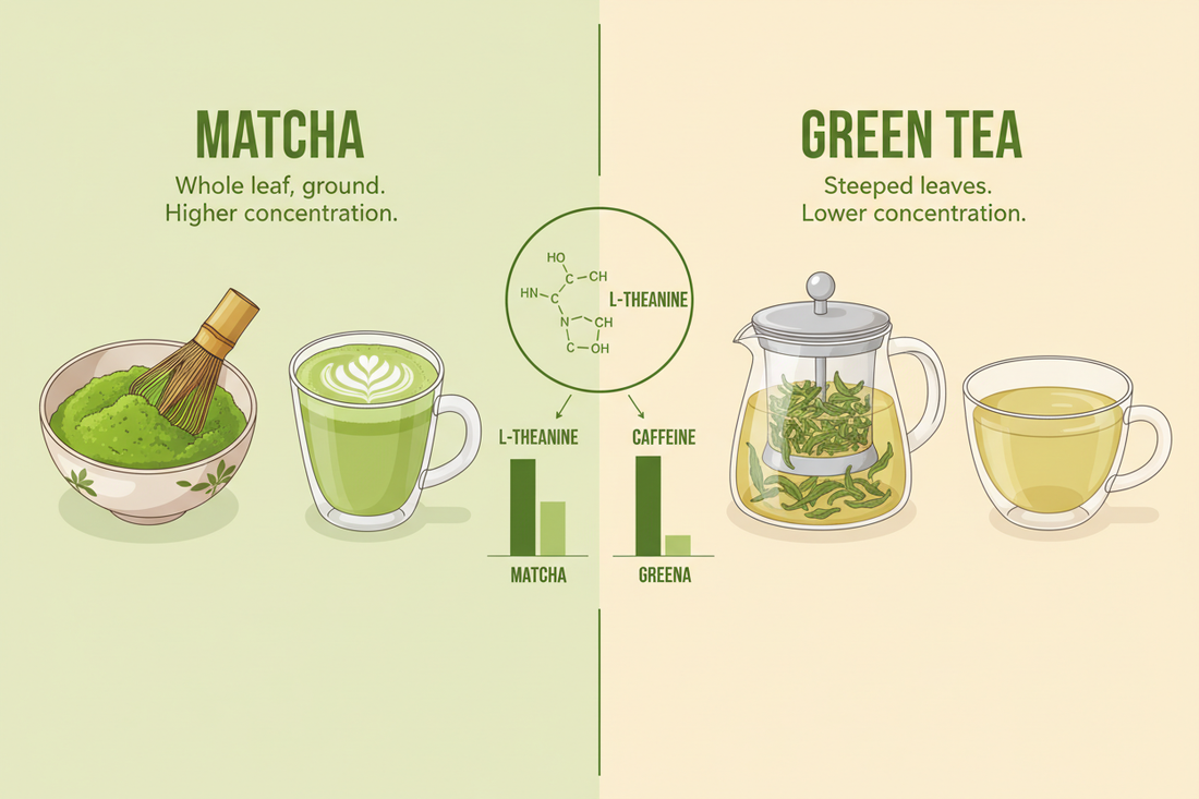 Matcha vs Green Tea: What's the Difference?