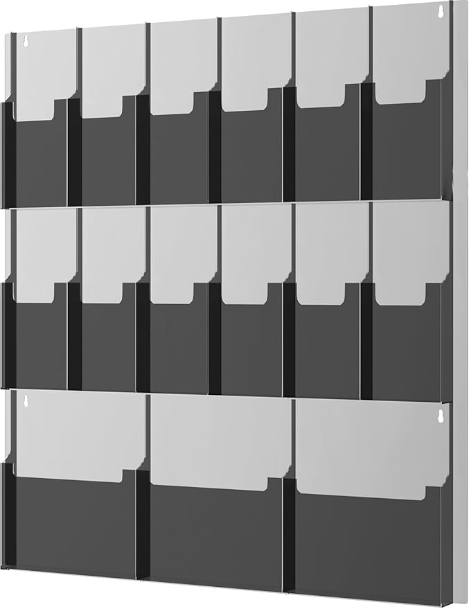 Acrylic Brochure Pamphlet Holder, 3 Magazine Holders and 12 Pamphlet Holders, Black Display Rack Wall Mount, Trifold Flyer Holder, Literature Storage Rack for Home, Offices, Waiting Room
