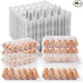 APOCHON 40PCS Plastic Egg Cartons 18 Count,Clear Egg Cartons Cheap Bulk for Fresh Eggs,Reusable Egg Holder for Family,Pasture,Farm Markets Display - Medium Egg Containers 3x6 Grids