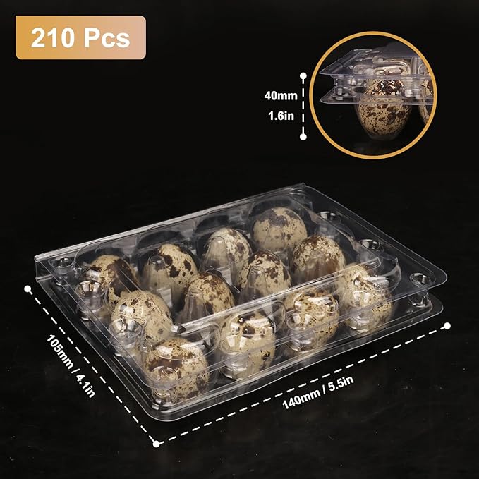 200 Pack Quail Egg Cartons, Clear Plastic Quail Egg Trays, Holds up to 12 Quail Eggs Securely - Your Ultimate Small Eggs Carton Holders for Bulk Storage and Display