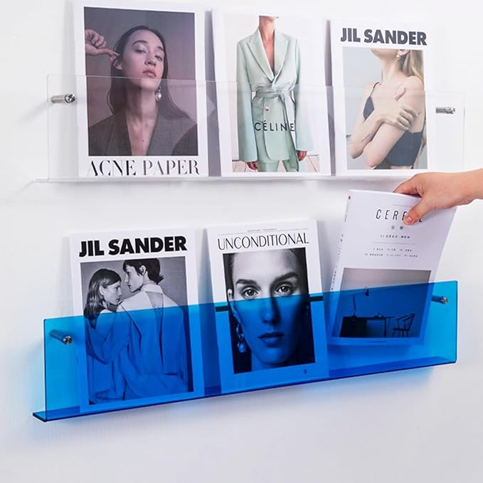 ROYALITA 2-Pack Acrylic Magazine Holder Brochure Holder, 17" Record Holder Magazine Rack, Fashion Hanging Bookshelf Literature Storage Rack for Waiting Room, Living Room, Office, Blue, 17 Inch