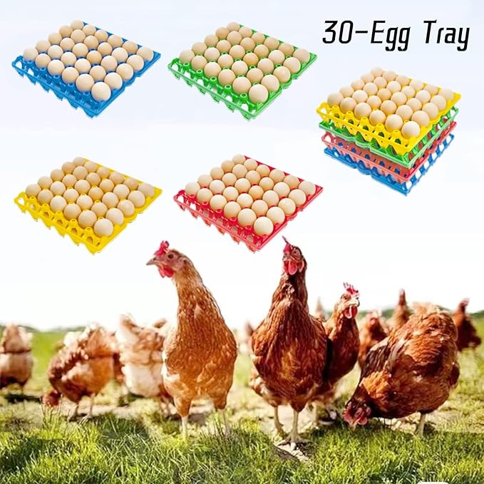 4-Pack Blue Rectangular Plastic Egg Tray, Stackable Egg Crates, 30-Egg Capacity, Modern Style, Reusable, Dishwasher Safe
