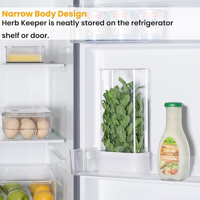vacane Herb Keeper for Refrigerator, Fresh Herb Saver Herb Storage Containers, Cilantro Container for Fridge Asparagus Container, Dishwasher Safe