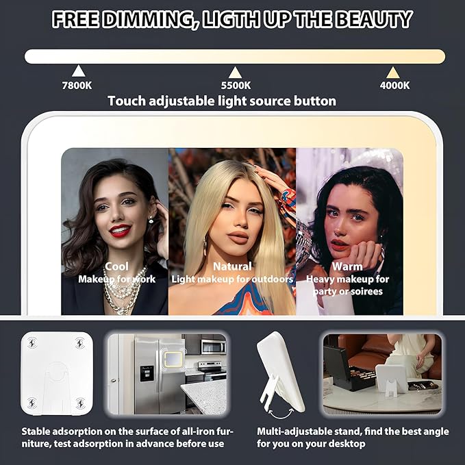 Makeup Organizer Box with Detachable Lighted Mirror, Travel Train Cosmetic Case, Adjustable Divider Storage Bag, Portable Artist Storage Suitcase with Magnetic LED Mirror (Rose Gold)
