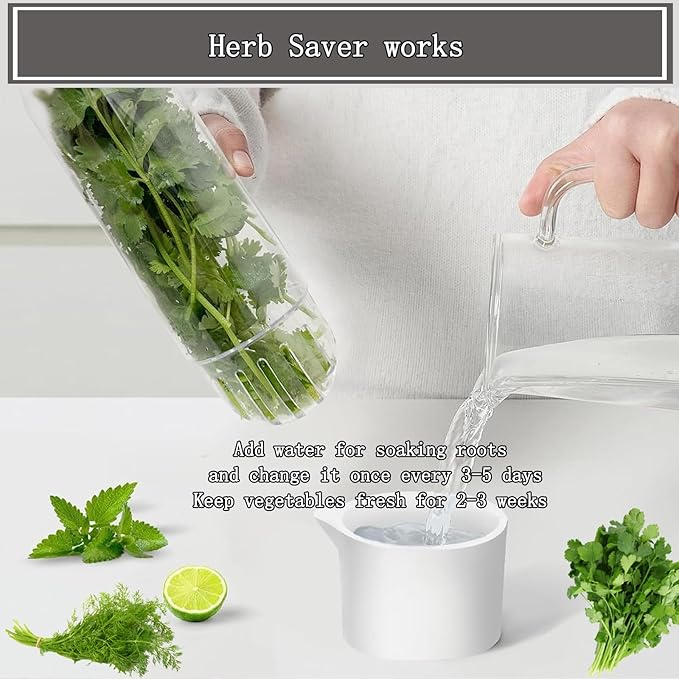 Herb Saver for Refrigerator, Cilantro Container for Fridge, Fresh Herbs Lettuce Keeper for Refrigerator Parsley Mint Leaves Fresh Herb Keeper, Refrigerato Storage for Fresh for 2-3 Weeks
