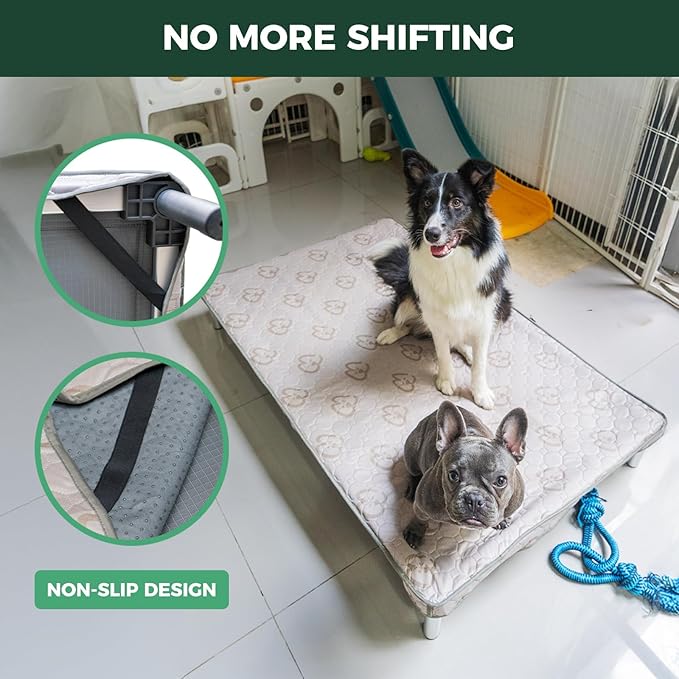FXW TitanNest Chew-Proof Elevated Dog Bed, Raised Cot for Indoor/Outdoor/Camping Use, Durable & Washable Padded Pet Bed with Exclusive Cover for Large Dogs, 47.0" L x 29.0" W x 7.3" H, Gray