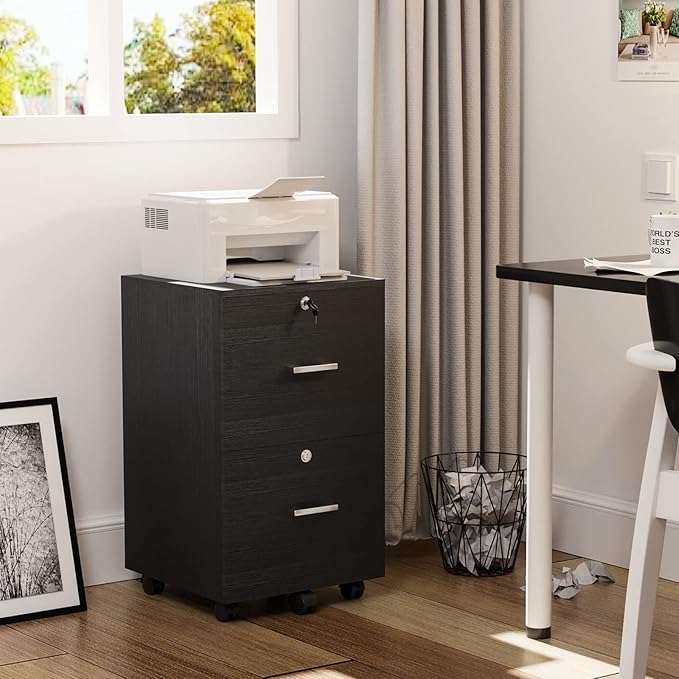 VINGLI 2-Drawer File Cabinet with Lock, Small Rolling Wood Filing Cabinet for Hanging Letter Size Filings with Tabs, Mobile Under Desk File Organizer for Home Office, Classic Black, 27.2" H