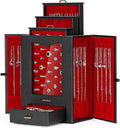 Homde Jewelry Organizer with Transparent Window Necklace Hooks Gift for Women Jewelry Box Display Case for Necklaces Rings Earrings Bracelets and Other Jewelry Accessories (Black + Red +Gold)