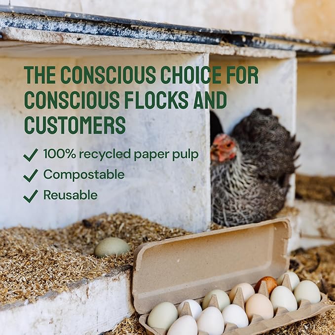 PTCOM Hatortempt Bulk Egg Cartons - 24-Pack, Reusable 12-Count Basket - Recycled Paper Pulp Protection & Ventilation - Fits Small to XL Sizes - Cardboard Dozen Egg Carton Basket