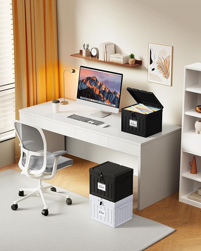 Oterri Plastic File Box with Lid for Letter Size File Folders, Hanging File Folder Box Collapsible File Organizer, File Cabinet Document Organization Home, Office (Black, Large-2 Pack Without Folders)