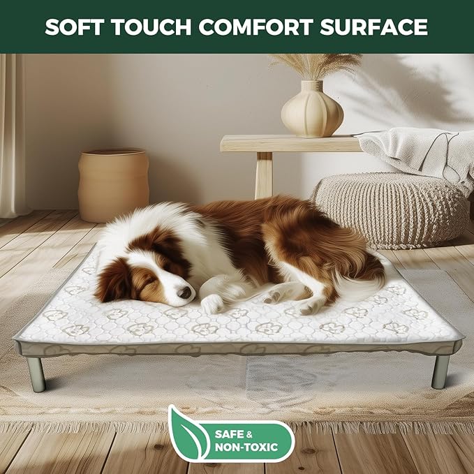 FXW TitanNest Chew-Proof Elevated Dog Bed, Raised Cot for Indoor/Outdoor/Camping Use, Durable & Washable Padded Pet Bed with Exclusive Cover for Extra-Small Dogs, 30.0" L x 22.0" W x 4.5" H, Gray