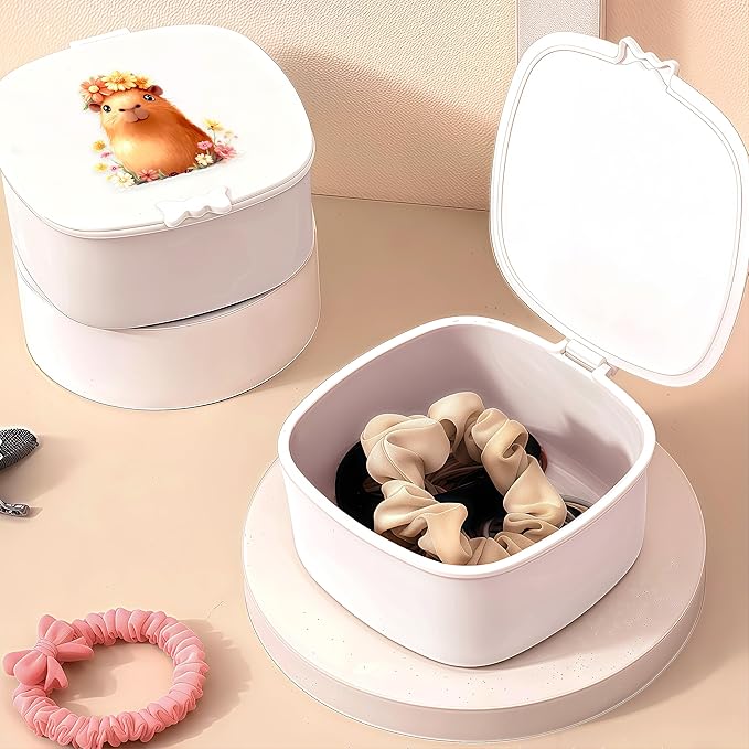 Small Hair Accessories Organizer Box For Girls Kids Teens Women, Hair clips/Ties/bands/pins/barrettes/scrunchies Organizer and Storage! (Capybara)