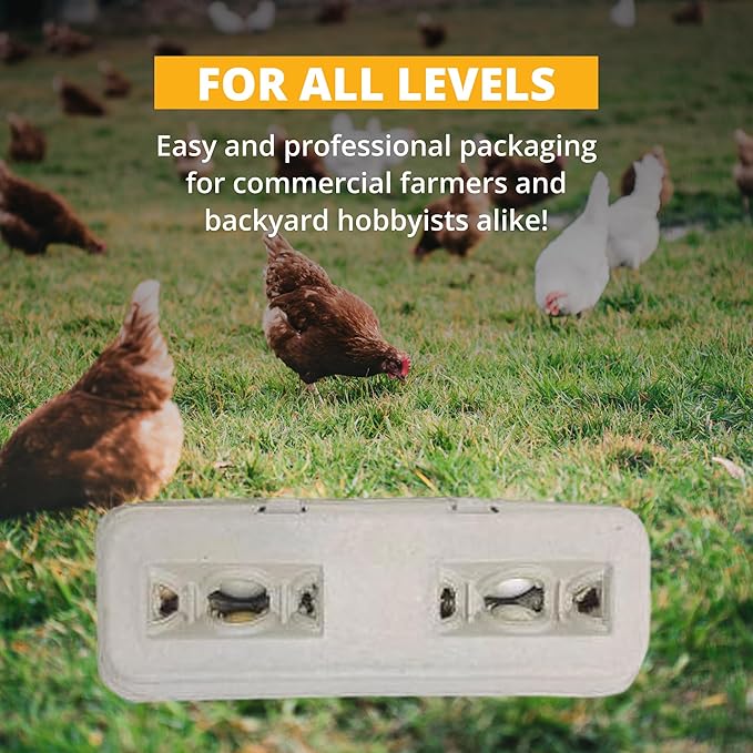 Stromberg's Large Blank Egg Cartons, Bulk Pack for Large Eggs, Perfect for Custom Branding, Safe & Secure Egg Storage, Convenient Stacking for Easy Transport, 125 Pack