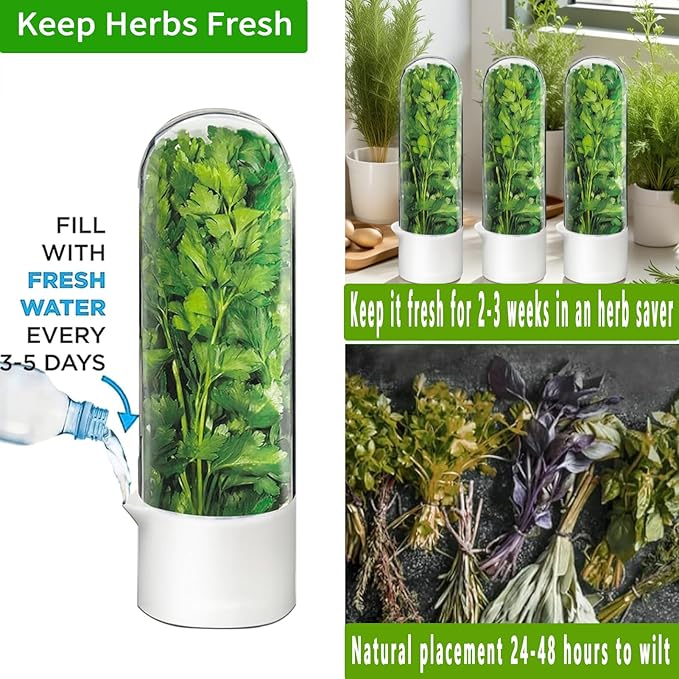 Cilantro Container for Fridge, Herb Saver for Refrigerator - Fresh Herb Keeper for Cilantro, Basil, Asparagus, Parsley, Keeps Greens Vegetables for 2-3 Weeks