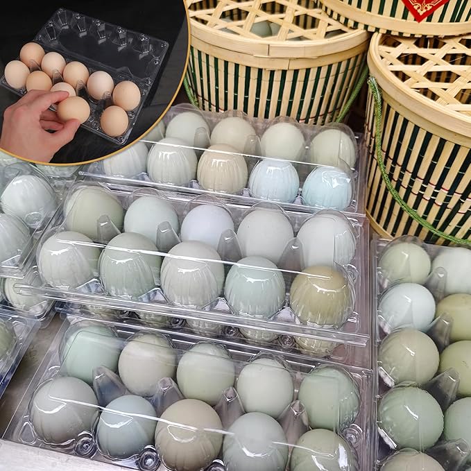 80 Pack Bulk Egg Cartons, Clear Plastic Chicken Egg Holders, Egg Tray Carton Holder for Home & Kitchen, Farm & Market Use, An Eco-Friendly Egg Storage Solution, 10 Grids(Medium Size)