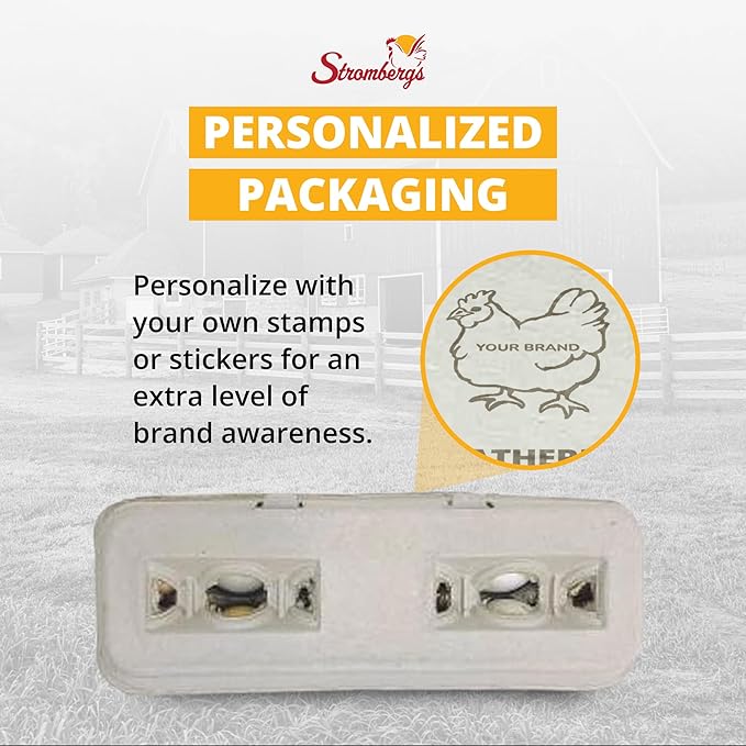 Stromberg's Jumbo Blank Egg Cartons, Bulk Pack for Jumbo Eggs, Perfect for Custom Branding, Safe & Secure Egg Storage, Convenient Stacking for Easy Transport and Storage, 200 Pack