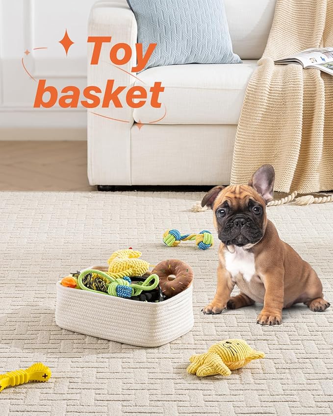 Small Woven Basket, 12 x 8 x 4.5 Inches, Storage Basket for Organizing, Cute Small Rope Shelf Closet Cube Storage Bins Baskets for Shelves, Dog Toy Gift Baskets Empty, 3 Packs, Off White