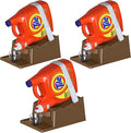 TidyFriend Laundry Detergent Holder Stand Organizer with Drip Tray, 3 Pack Laundry Soap Holder with Non-Slip Rubber Feet for Washing Space Organization, Angled Downward Slope for Easy Pouring (Brown)
