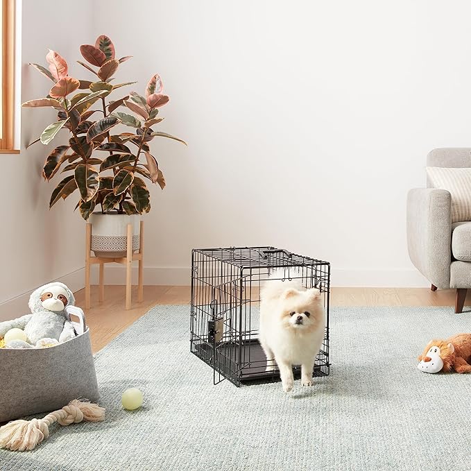 Amazon Basics Durable,Foldable Metal Wire Dog Crate with Tray, Double Door, Divider, 22 x 13 x 16 in, Black