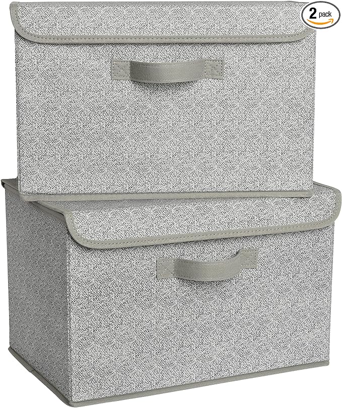 GRANNY SAYS Closet Storage Bins, Storage Boxes with Lids, Clothes Organizing Bins, Lidded Baskets for Toys, Clothing, Gray, Extra Large, 2-Pack