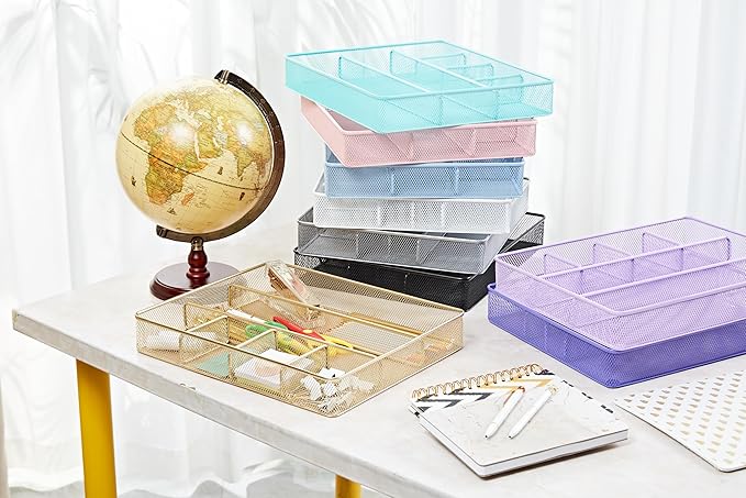Annova Desk Top Organizer Tray for Office Organization - Metal Mesh - Storage Tray with Dividers for Pens, Desktop Accessories, Bathroom, Kitchen, Makeup and Office Supplies (Large, Silver)